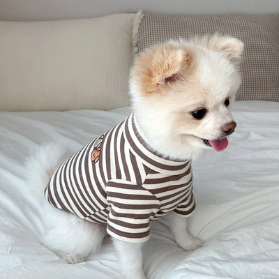 Lightweight Teddy Outfit for Small Dogs