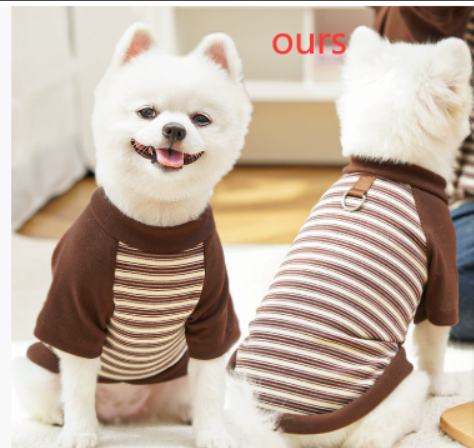 Lightweight Teddy Outfit for Small Dogs