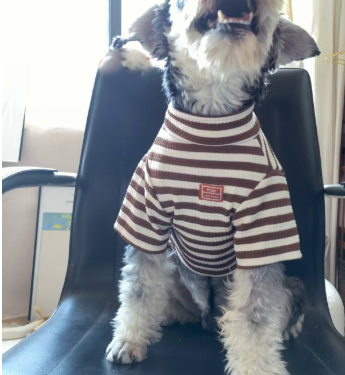 Lightweight Teddy Outfit for Small Dogs