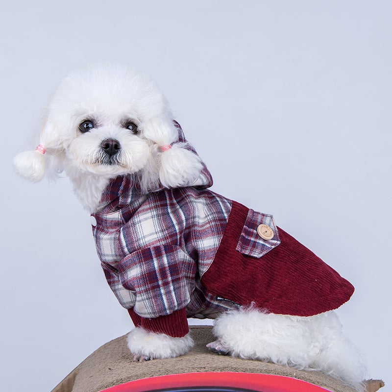 Small Dog Outfit