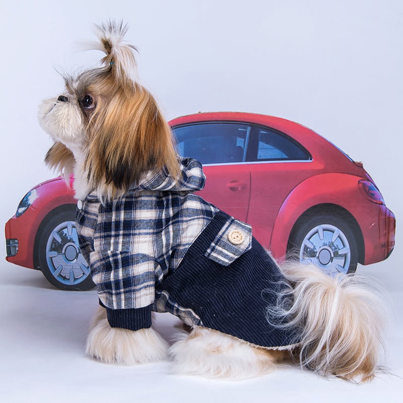 Small Dog Outfit
